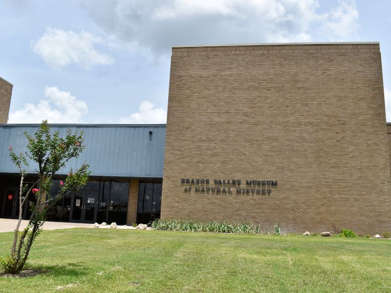 Brazos Valley Museum of Natural History